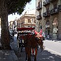 207 Rondrijden in Palermo met een koetsje